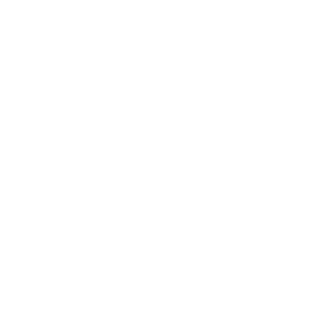 Black Dog Cycle Works Logo