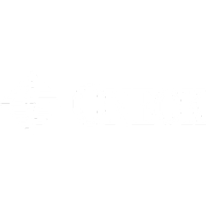 ONEOK Logo